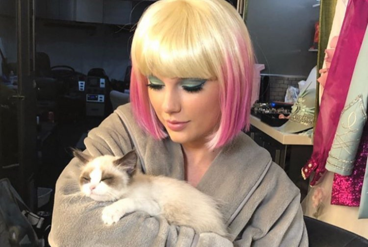 celebrities who have cats - Taylor Swift