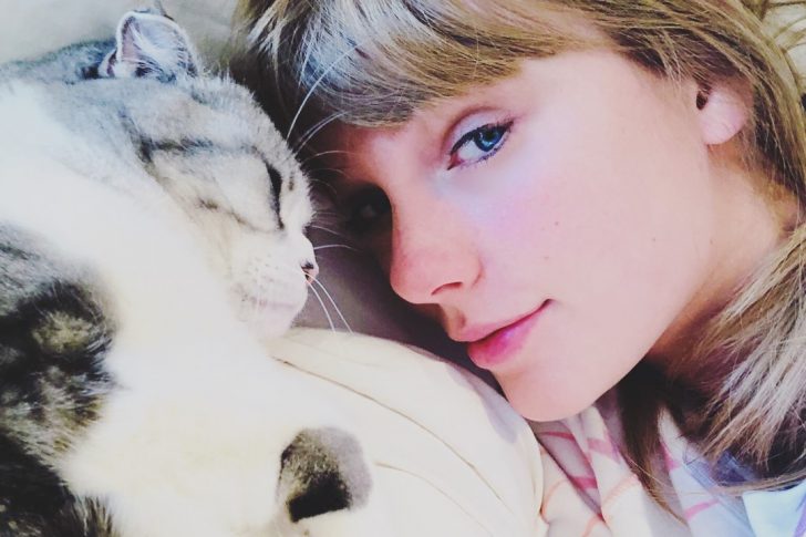 Meredith Grey and her furry siblings stole Taylor Swift's heart.