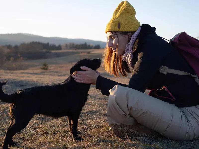 Petting a dog