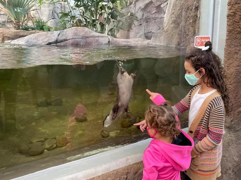 North Carolina Aquarium at Fort Fisher