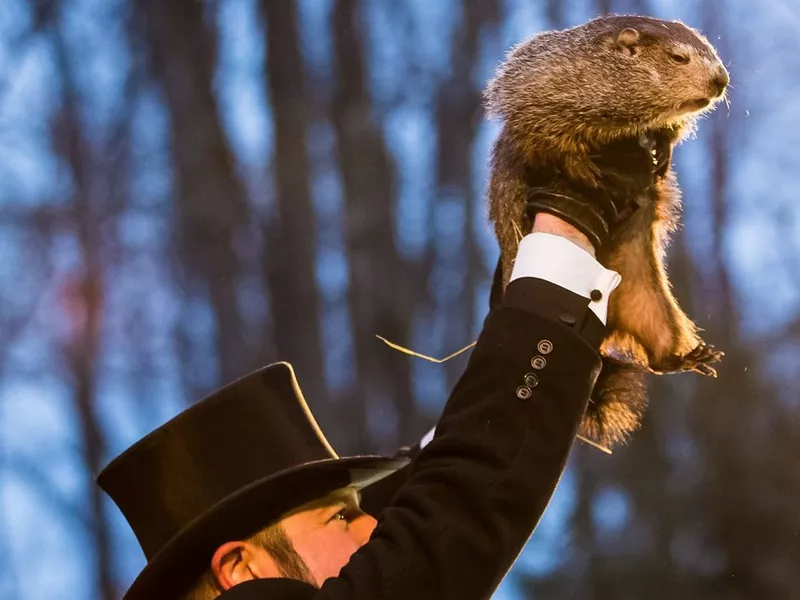 Punxsutawney Phil