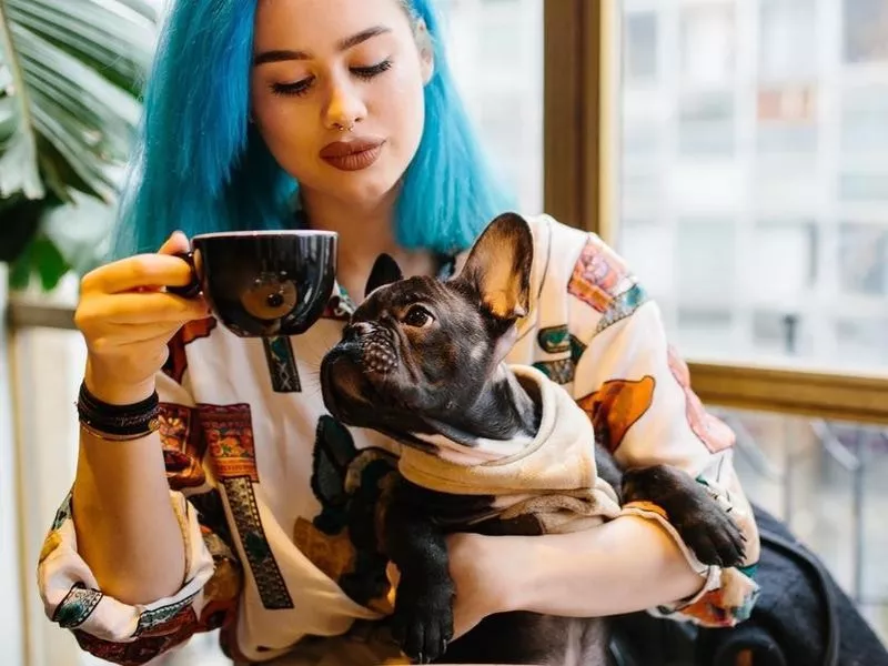 Dog eyeing cup of coffee