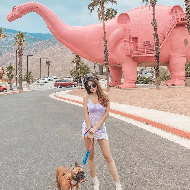 Dog and owner traveling in California