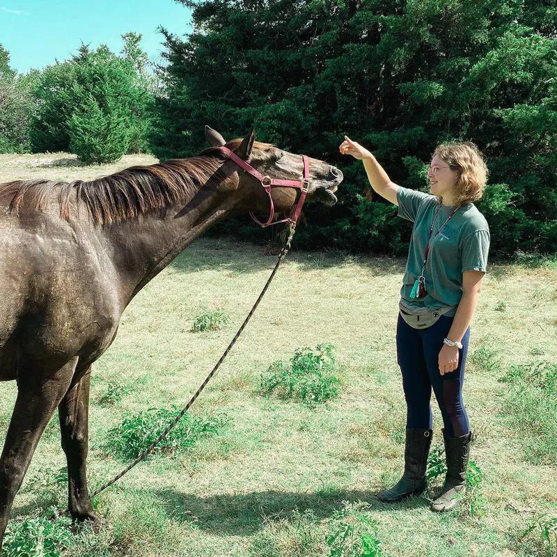 Trainer With Horse