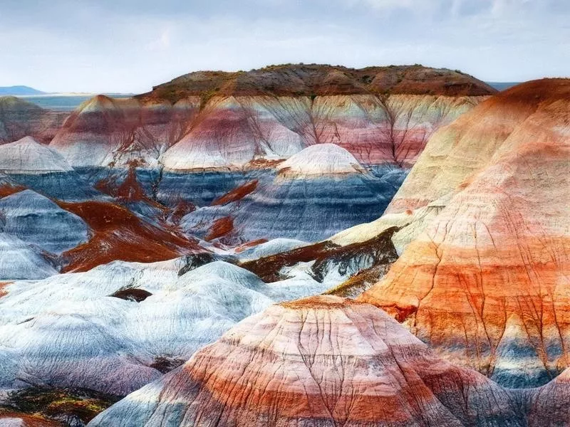 Petrified Forest National Park