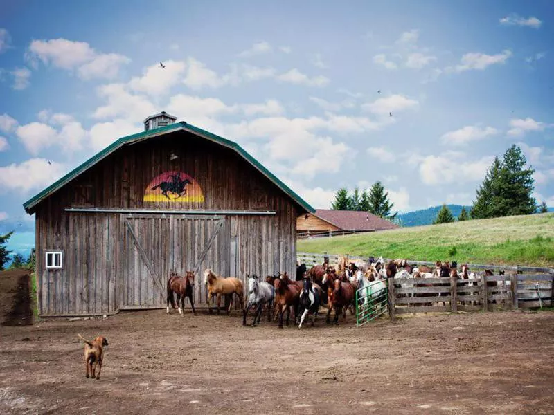 Bull Hill Guest Ranch