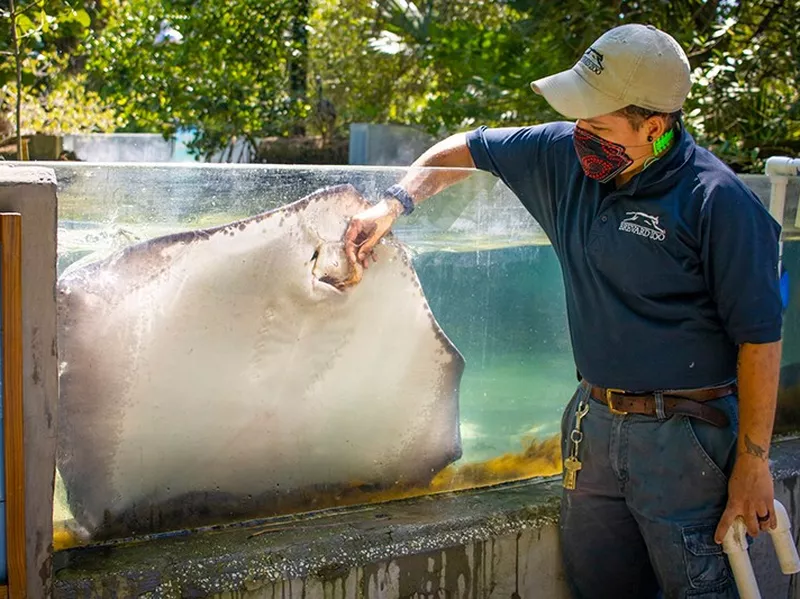 Brevard Zoo