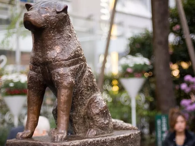 Hachiko Statue in Tokyo