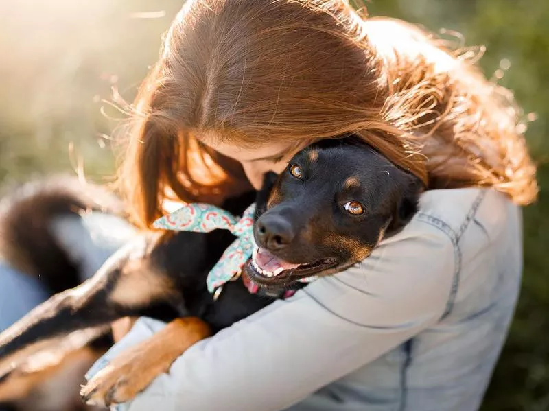 dog cuddles