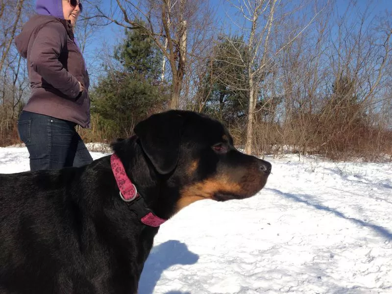 Quarry Run Dog Park