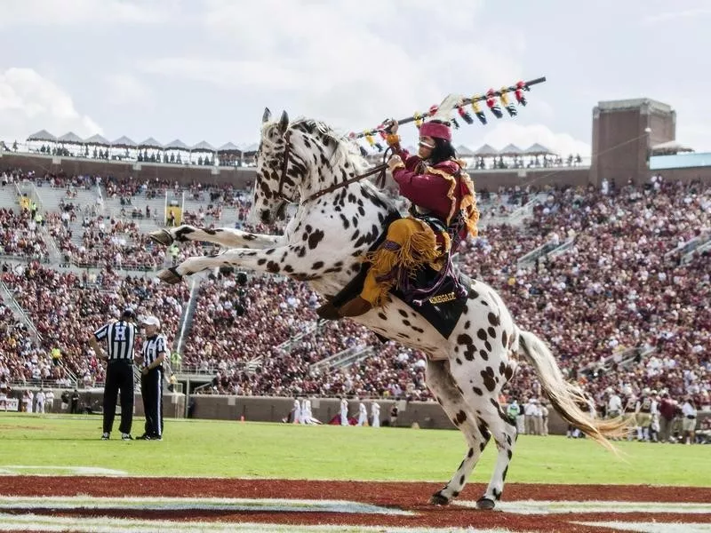 Osceola and Renegade