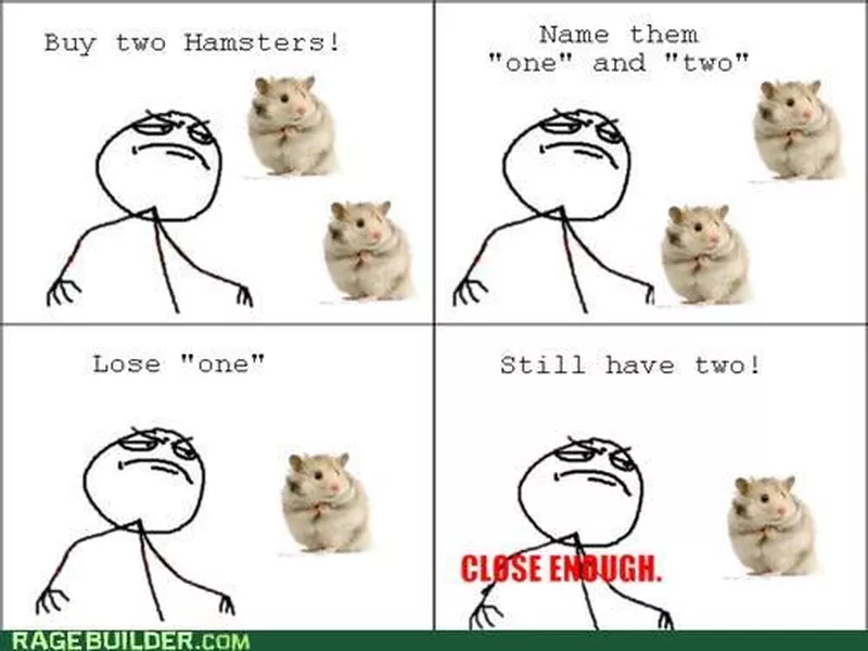 Hamster meme