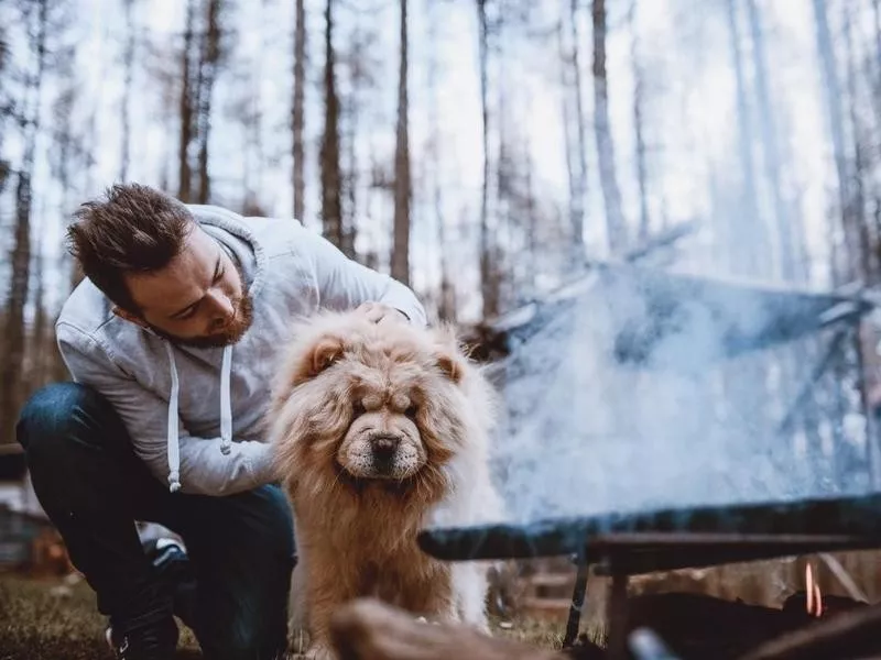 Man petting fat dog