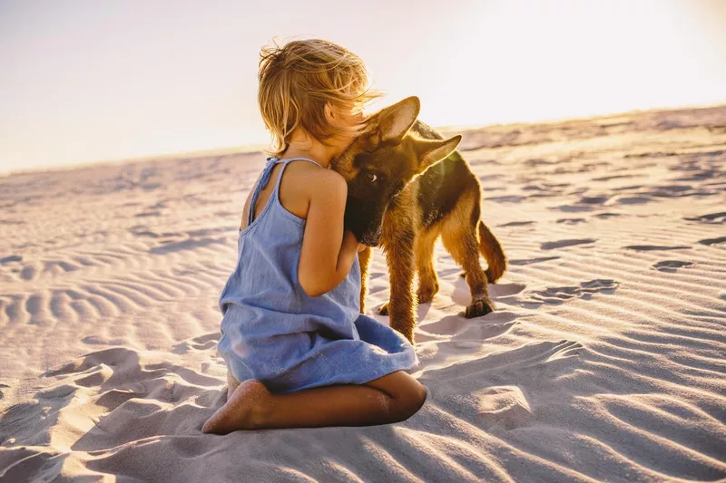 Girl hugs German shepherd puppy on the beach