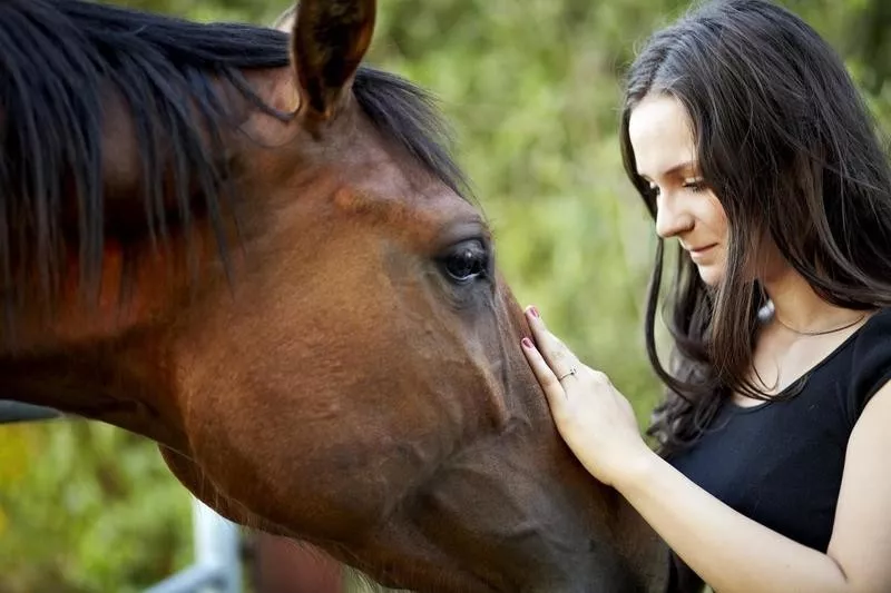 horse eyes