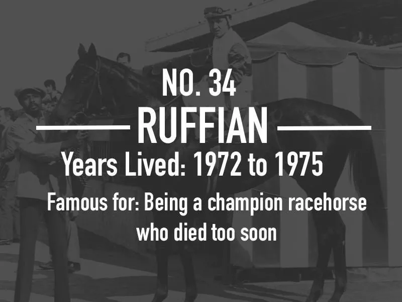 Ruffian