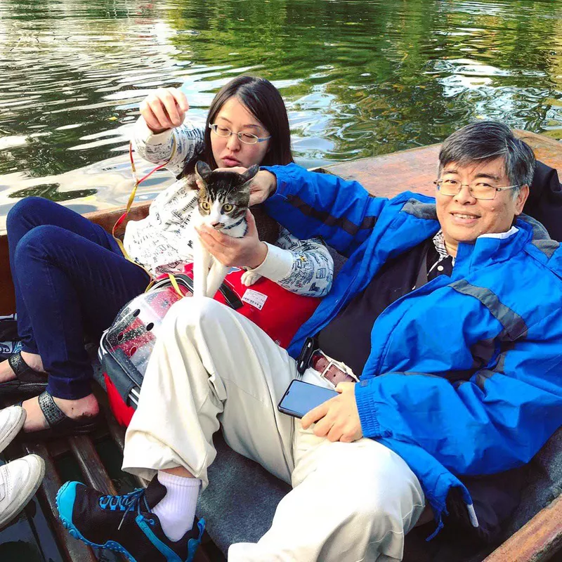 Cat on a boat