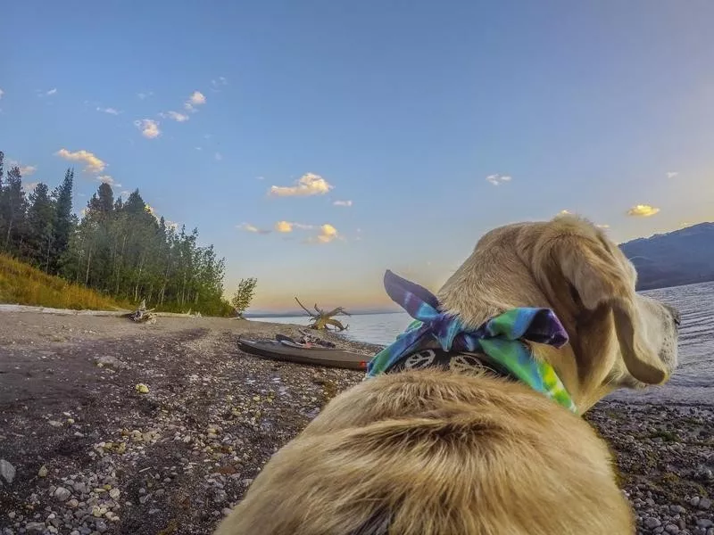 Grand Teton National Park