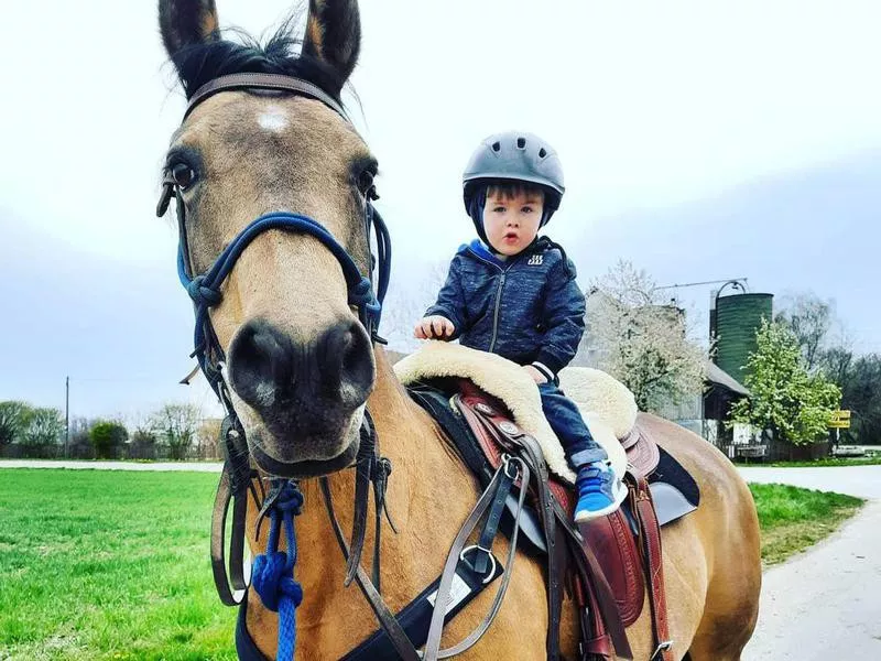 Child riding on Quarab horse