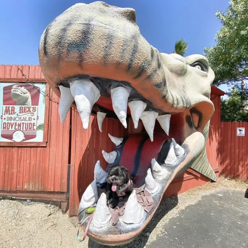 Cabazon dinosaurs, California