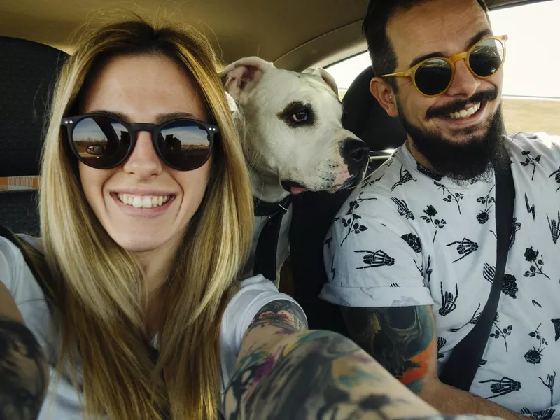 Couple in the car with dog