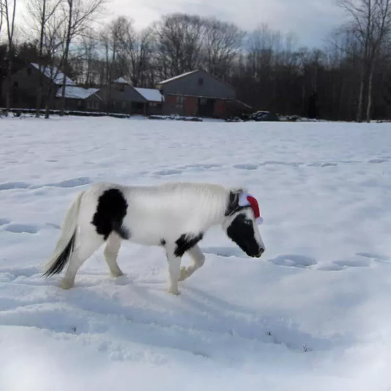 Einstein horse in a Santa hat