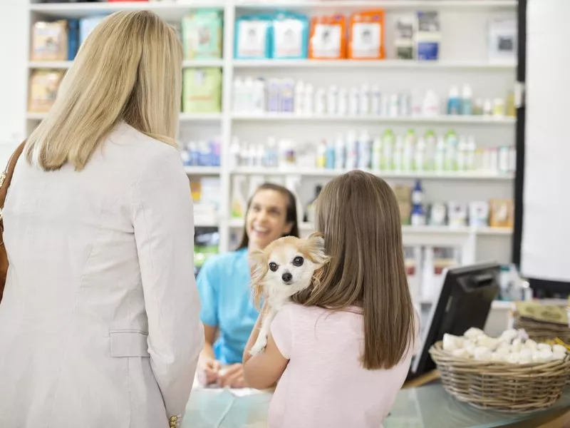 Owner bringing dog to vet's surgery