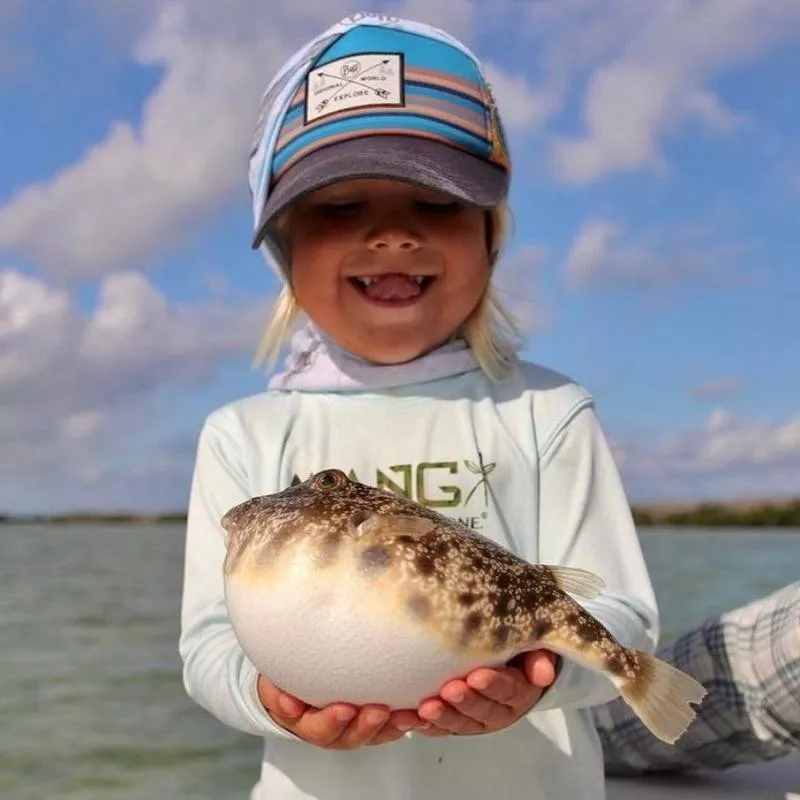 Puffer Fish