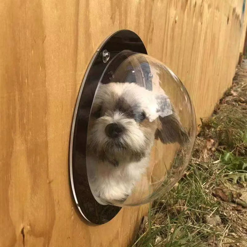 Pet window