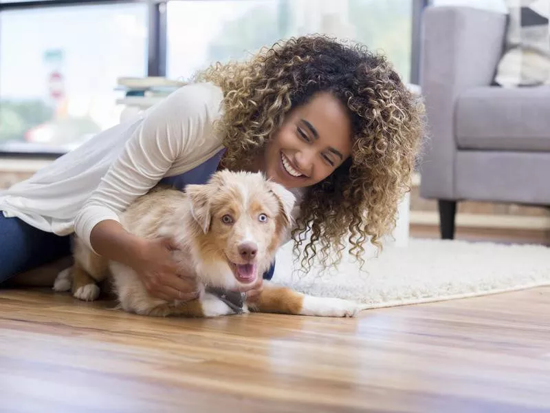 Woman playing with dog on the floor