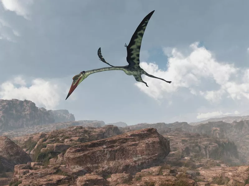 Pterosaur Quetzalcoatlus above rocky landscape