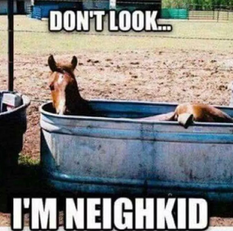 Funny horse meme: Taking a bath meme