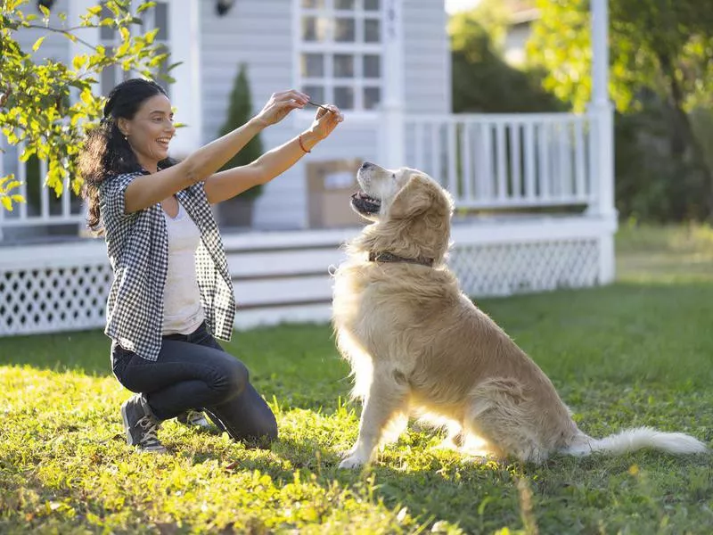 Woman creating an understanding with her dog