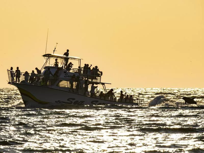 Boat in the waters of Panama City Beach