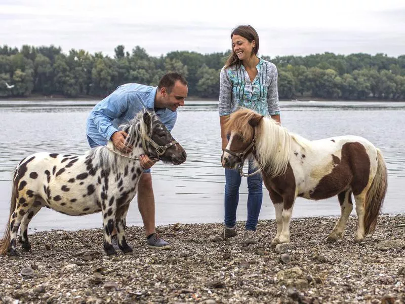 Excited couple with ponies by river