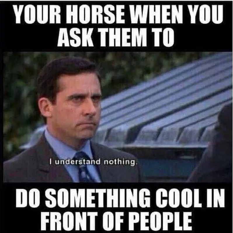 Steve Carrell understand nothing horse meme