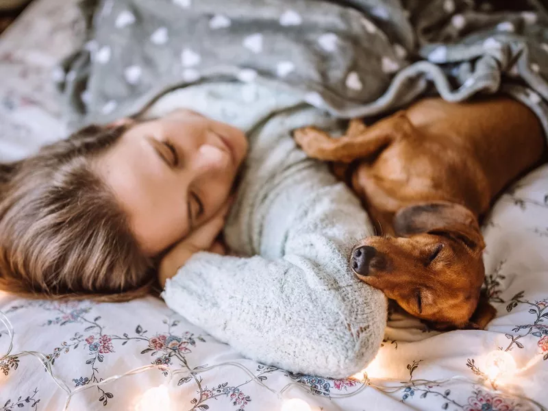 Enjoying Christmas Morning With Her Beautiful Dachshund in Bed