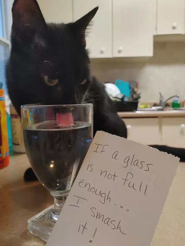 glass half full