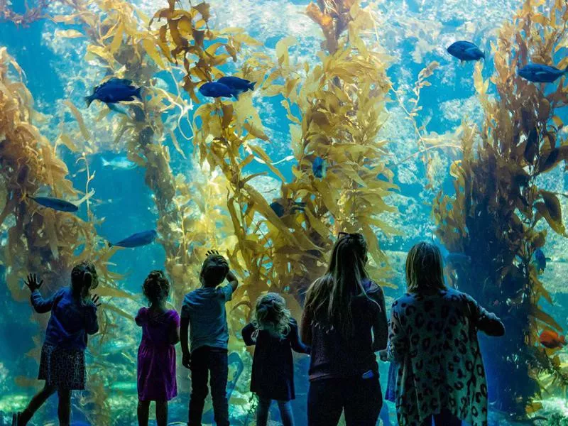 Birch Aquarium at Scripps Institution of Oceanography