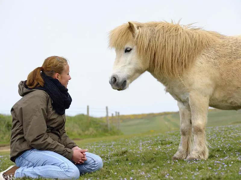 Young girl with Shetland pony