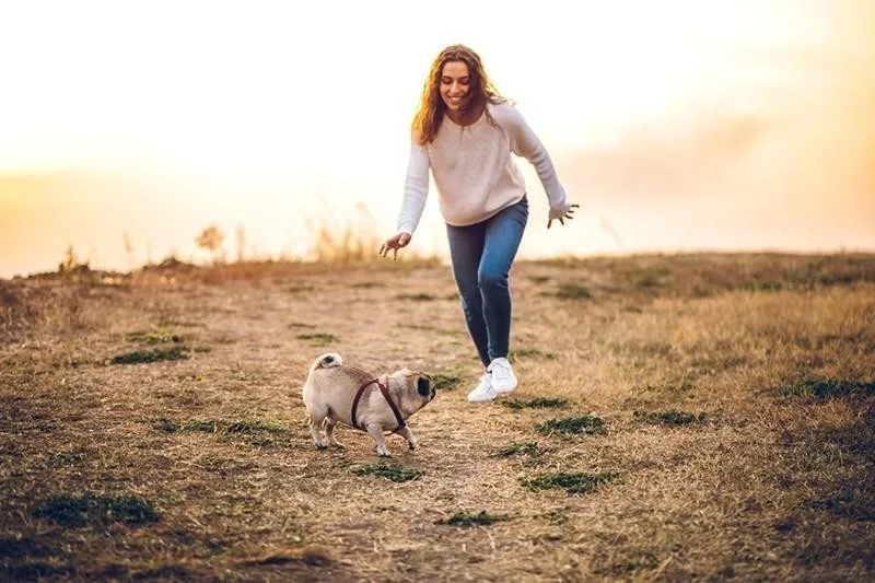 woman and pug playing