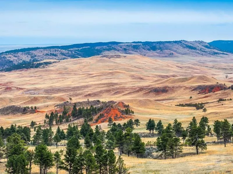 Wind Cave National Park