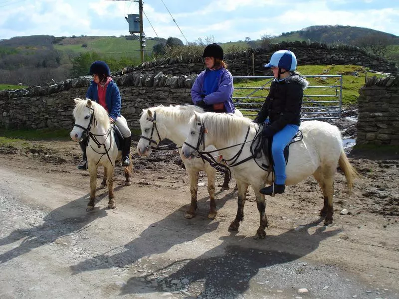 Children on Welsh ponies