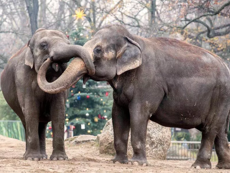 Zoo Berlin