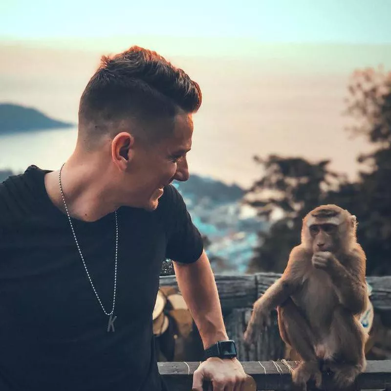 Monkey photobomb