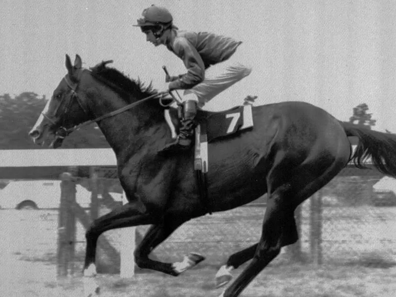 Shergar