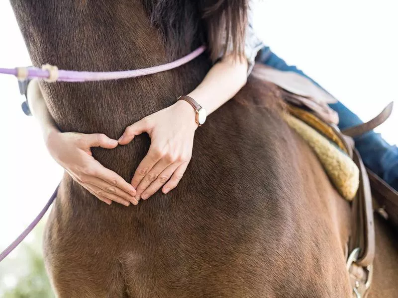 Woman making heart shape on horse