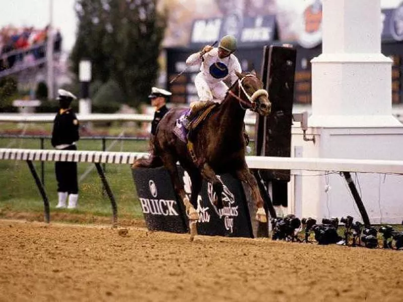 timber country horse