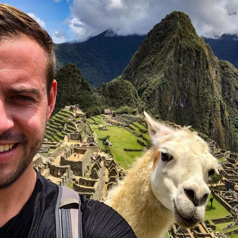 Llama photobomb