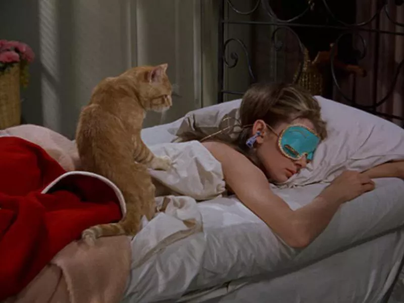 breakfast at tiffany's cat